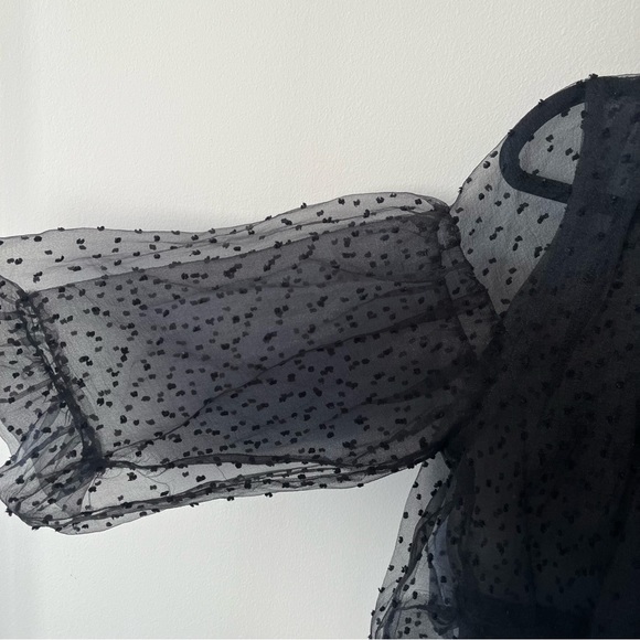 Zara Sheer Black Polka Dot Blouse - Picture 2 of 8